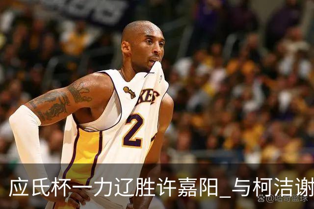 应氏杯一力辽胜许嘉阳 与柯洁谢科许皓鋐进4强